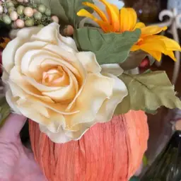 Pumpkin Arrangement
