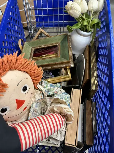 Goodwill Outlet Haul!