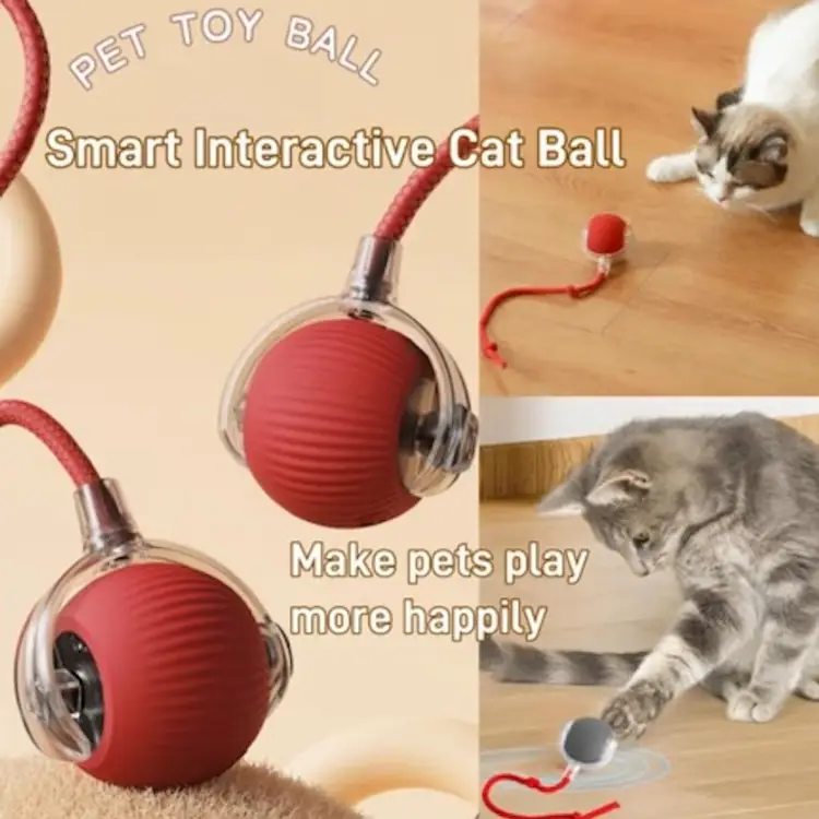 Interactive Cat Toy NEW