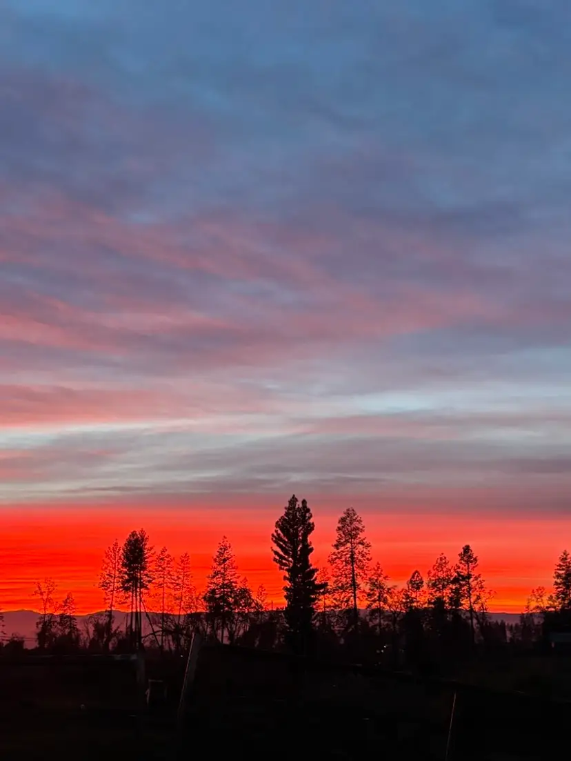 Livestream thumbnail