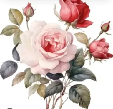 Rose Cove Vintage (lmartell)