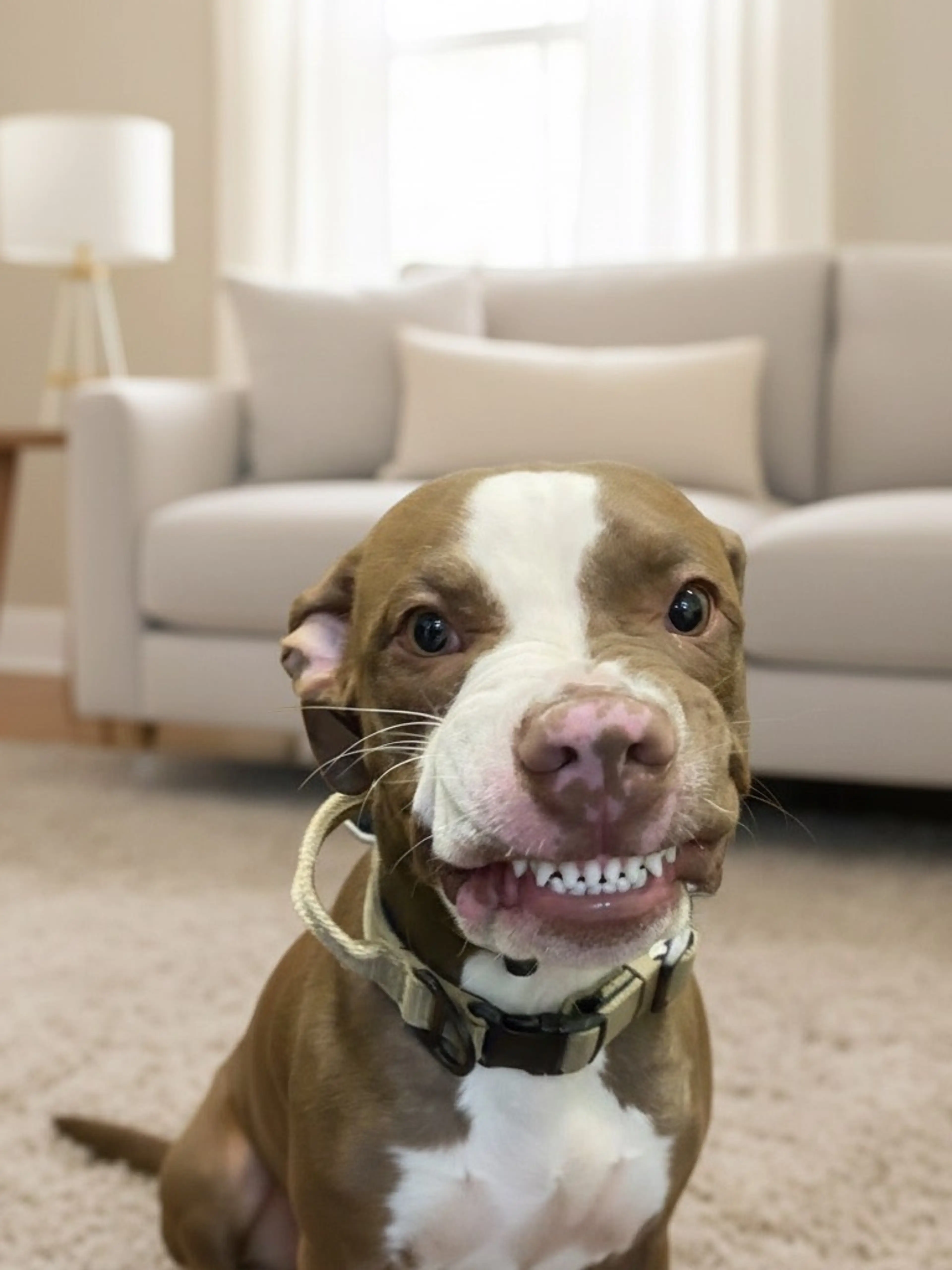 Pop Up - Home Decor & BIN Loaded With Jewelry