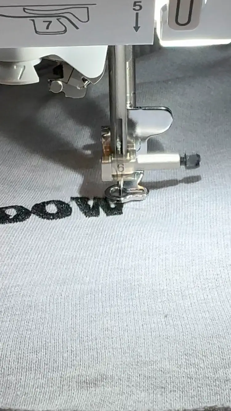 Down Bad TTPD Embroidered shorts