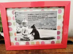 Quirky Buddha and Squirrel Framed Art
