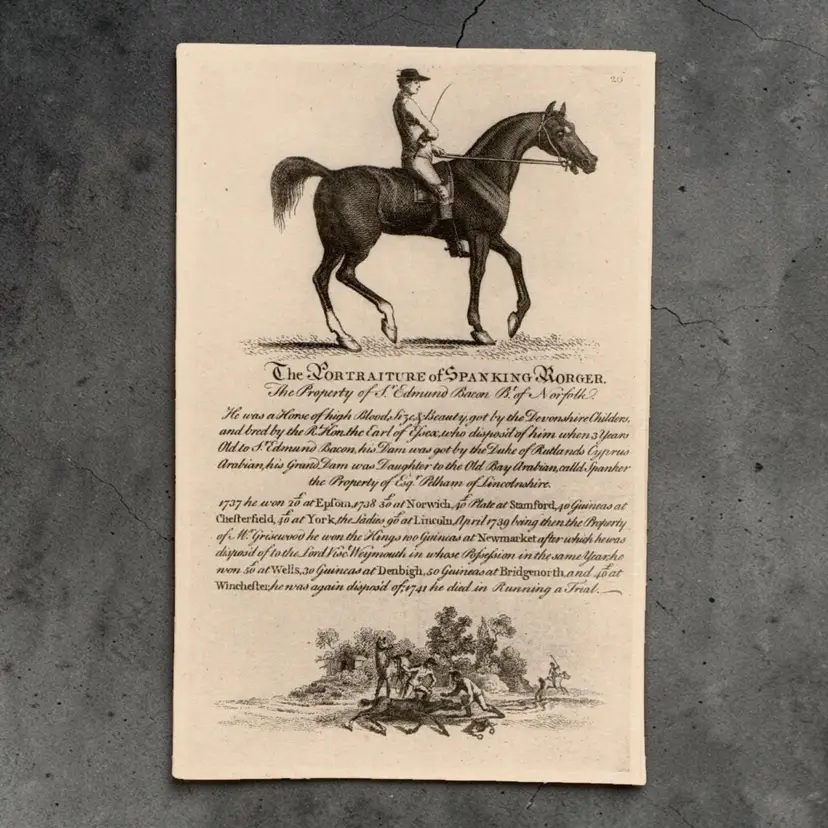 Portraits Of Celebrated Racehorses Lot of 6 Pages Cato and Spanking Roger