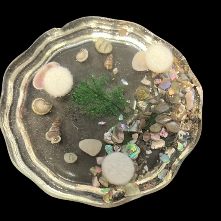 Vintage 3” Round Lucite Coaster With Sea Shells Ocean Beach Shore Decor