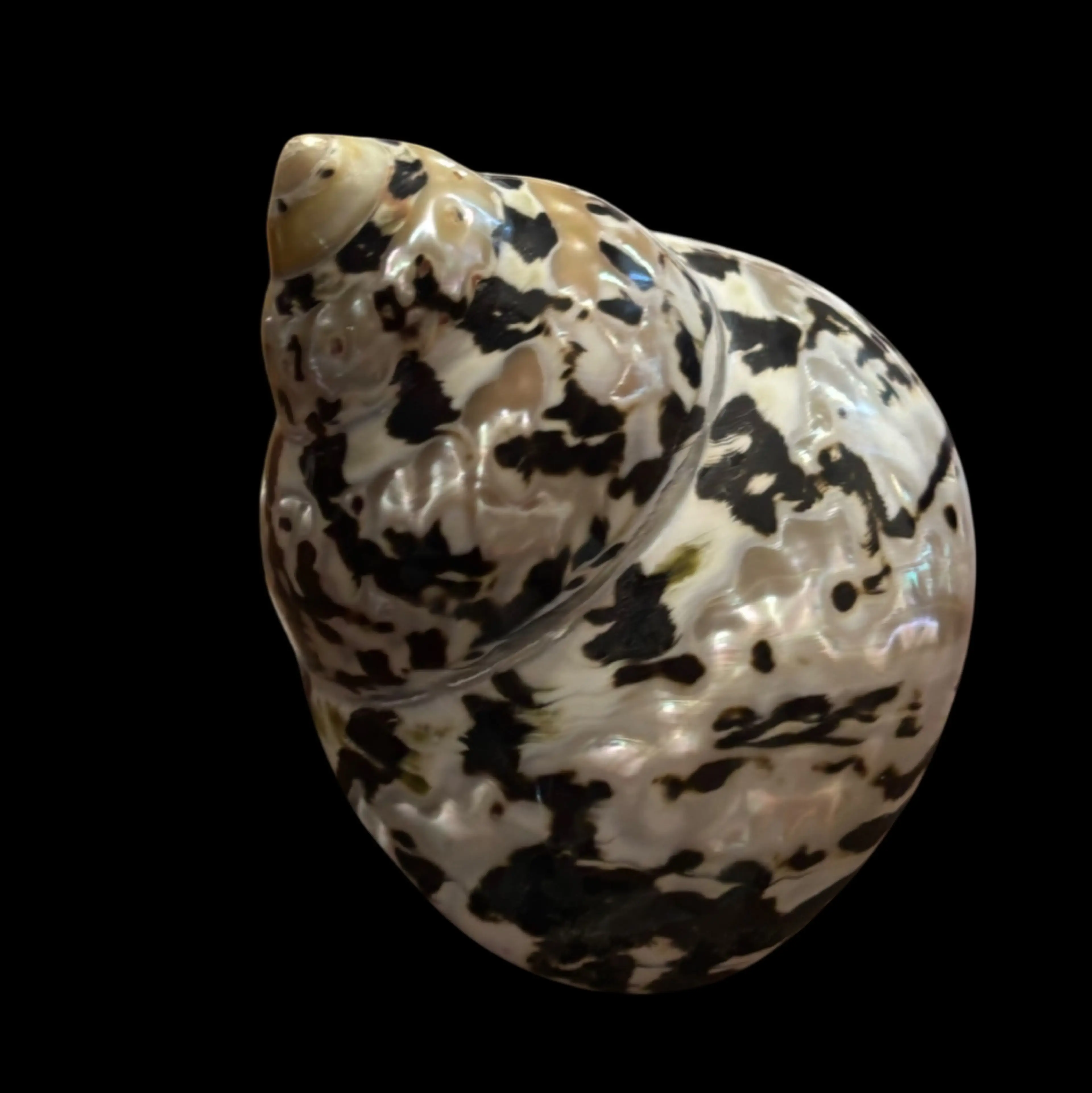 Image 4 of 5