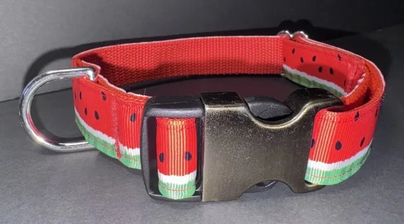 Dog Collar Green & Red Watermelon Summer 4th July Large Handmade W/Buckle NEW