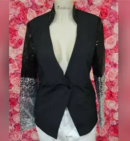 Black Blazer with Gradient Sequin Sleeves
