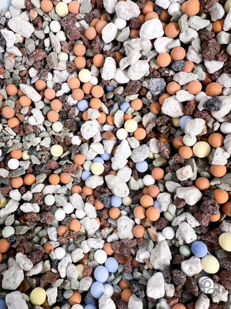 PD Funfetti Pon (4lbs)