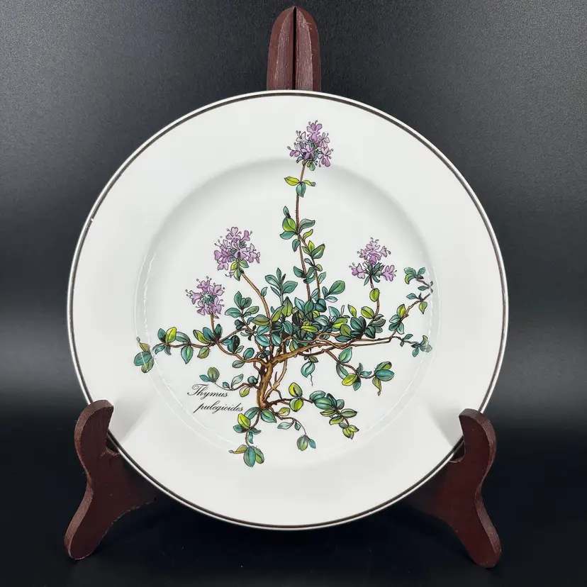 Set of 4 Villeroy & Boch Botanica Thymus Pulegioides Luncheon Plates 8.25"