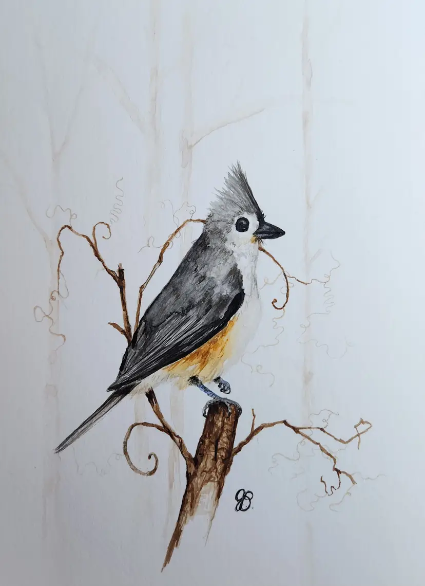 Titmouse Original Watercolor Painting Signed By The Artist 5x7