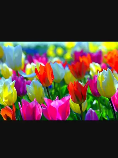 Check Out Spring Vignettes!!