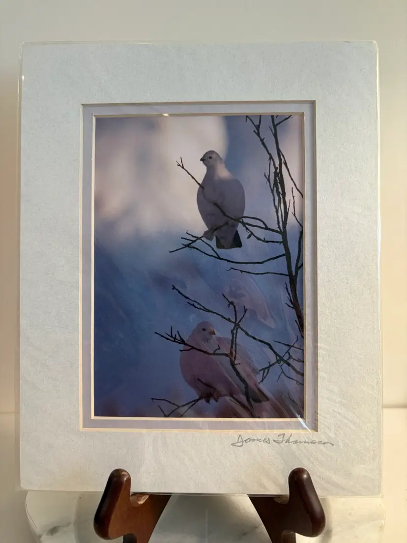 Matted Print Of Two Willow Ptarmigans Signed By The Artist James Thompson