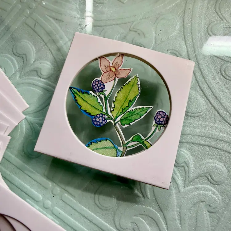 Cutest Coin Holder Window Packs