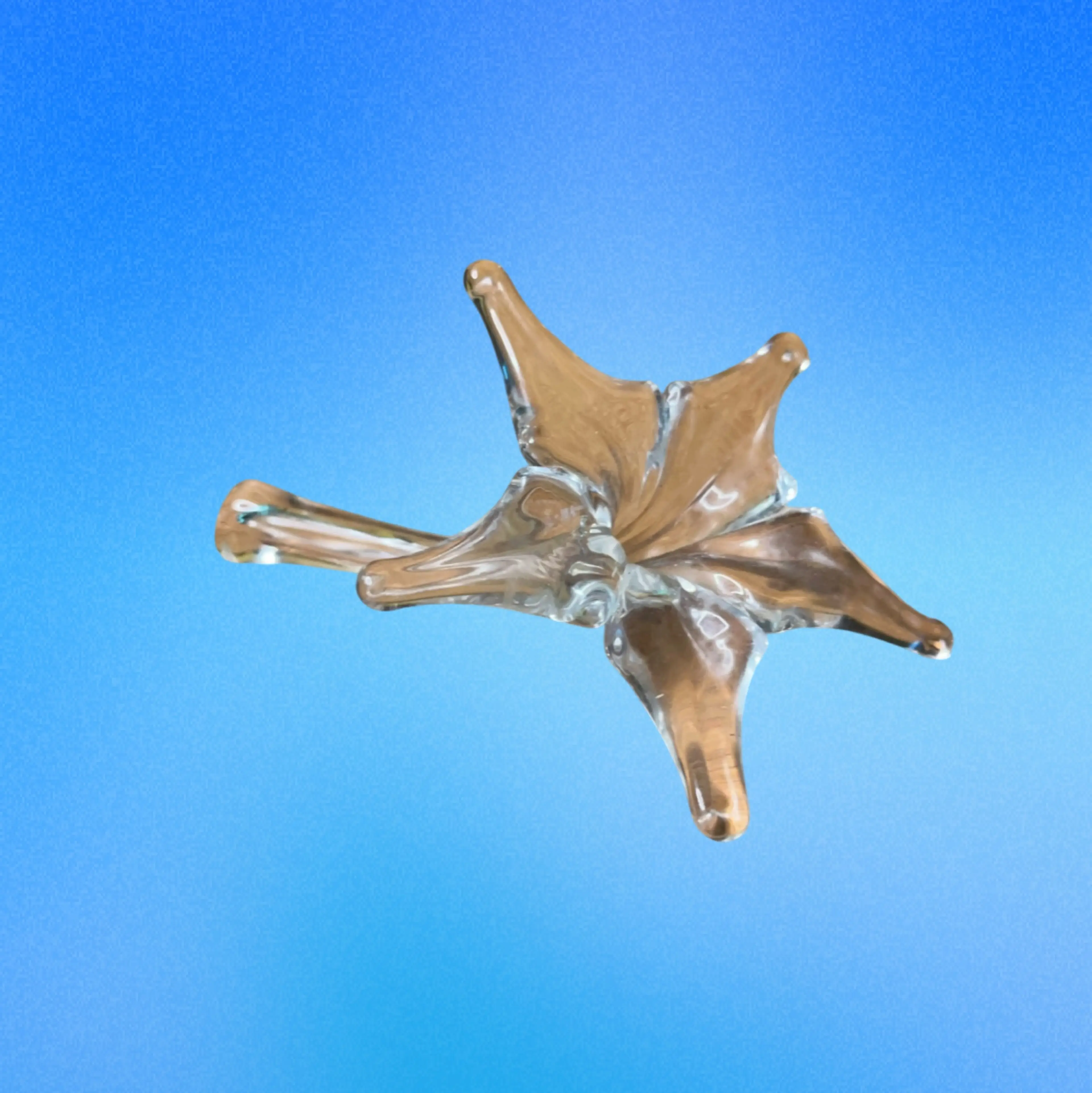 Image 3 of 5