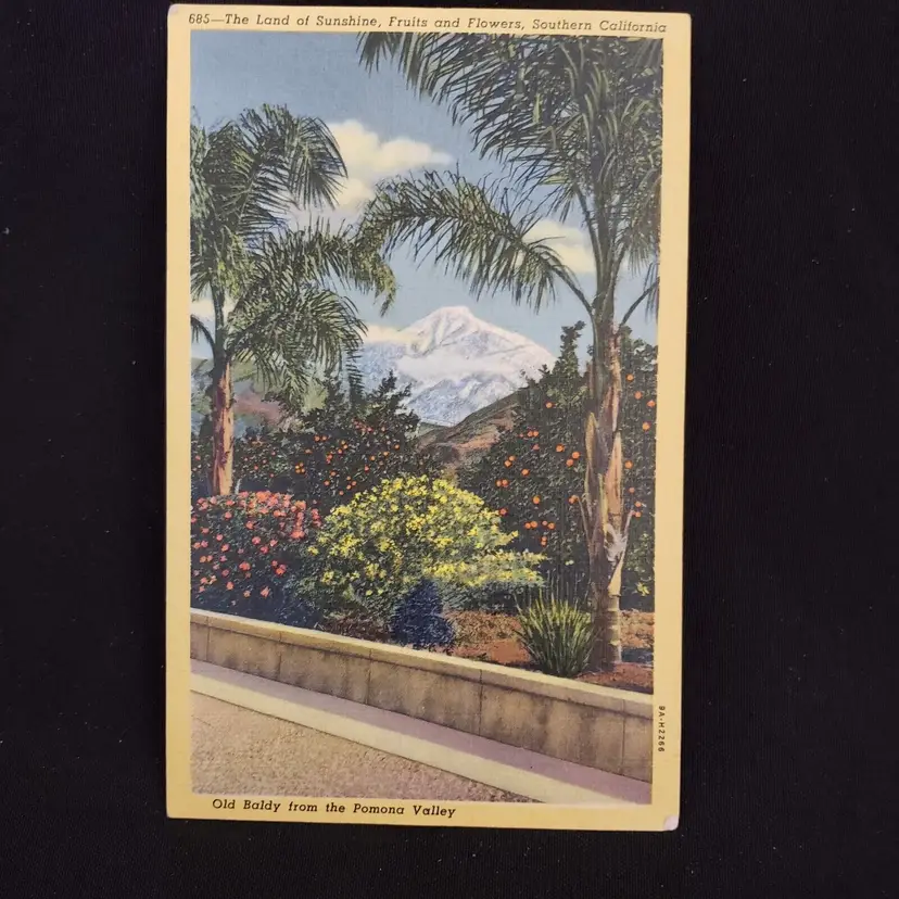 Postcard Land of Sunshine Fruits and Flowers Southern Calif. unused Vintage