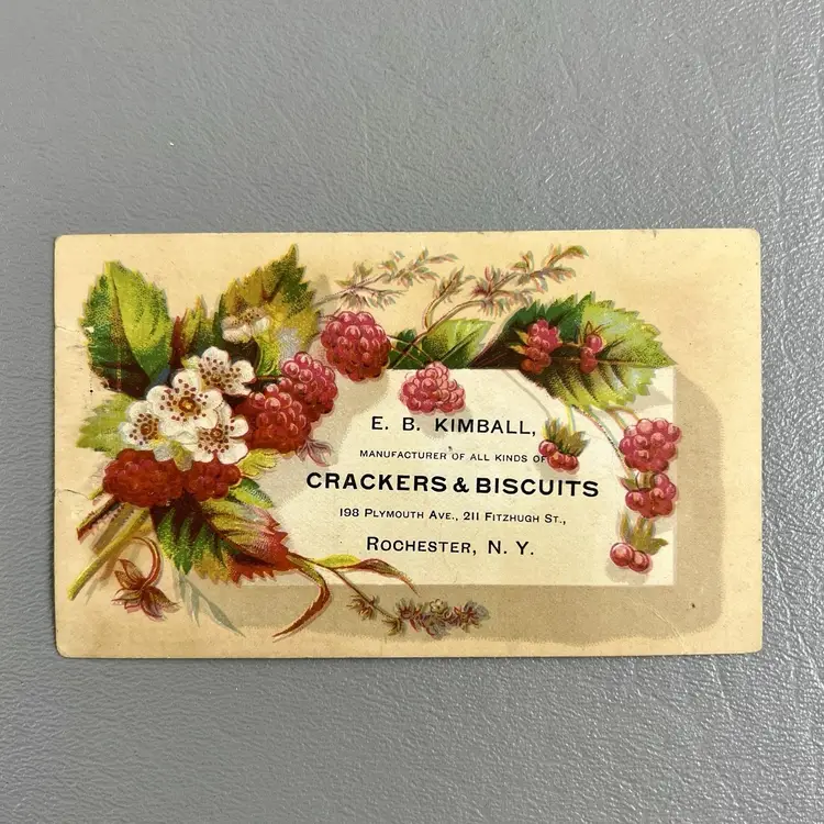 EB Kimball Rochester NY Crackers & Biscuits Victorian Trade Card Raspberry Plant 2.5x4"