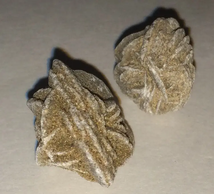 Desert Rose Set of 2