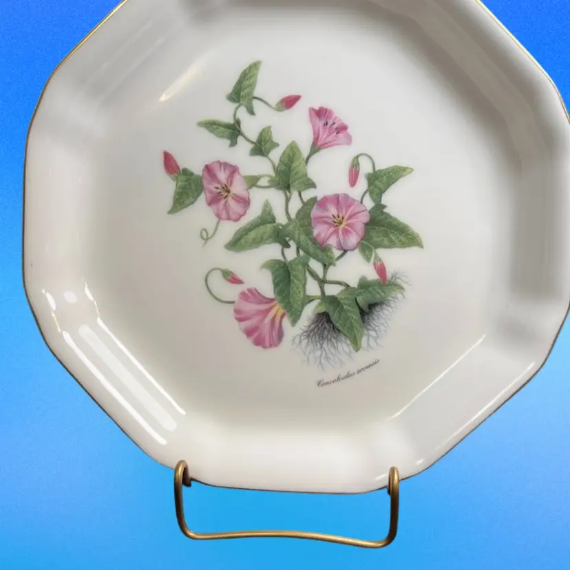 #01 Mayfair -Made in Staffordshire England-Fine Bone China Serving Dish. Featuring Morning Glories w/ Latin Name Below the Flowers
