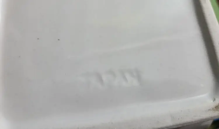 Thomas lvory Bavaria double-handle soup bowls