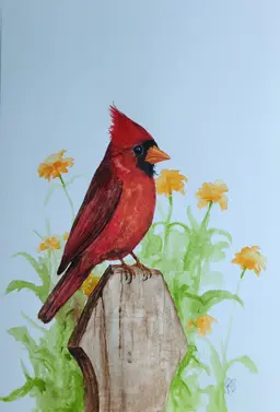 Cardinal Original Watercolor Painting Signed By The Artist 5x7 Free Shipping
