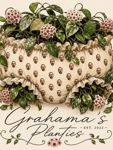 Hoya Sale