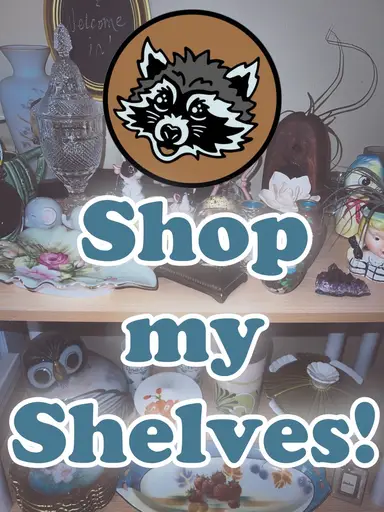 Shop My Shelves Sunday Funday!