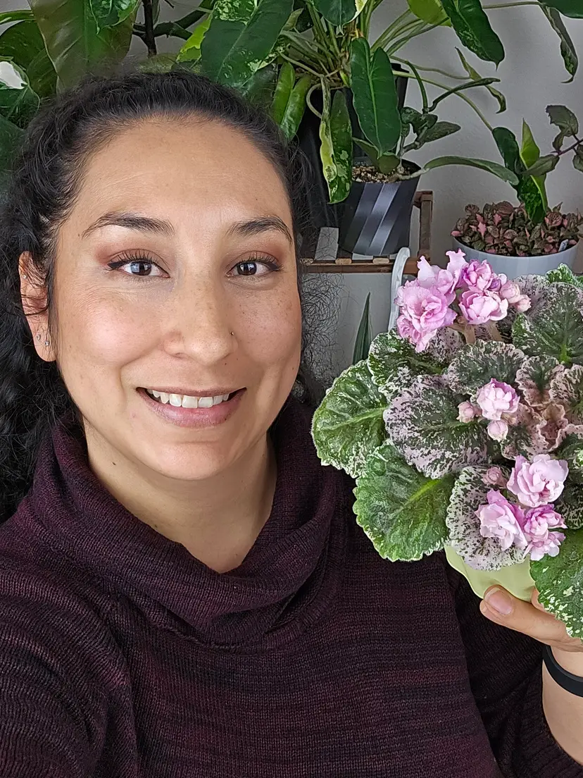 Livestream thumbnail