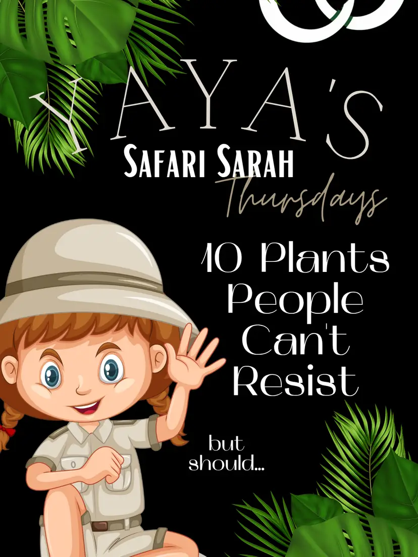 Livestream thumbnail