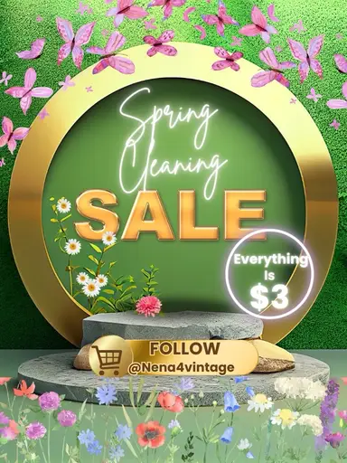 🫧Everything is $3🫧