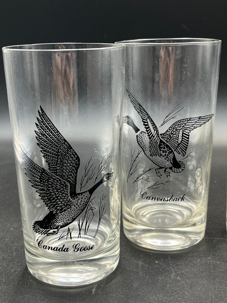(4) Vintage Canvasback “Game Bird” Glasses