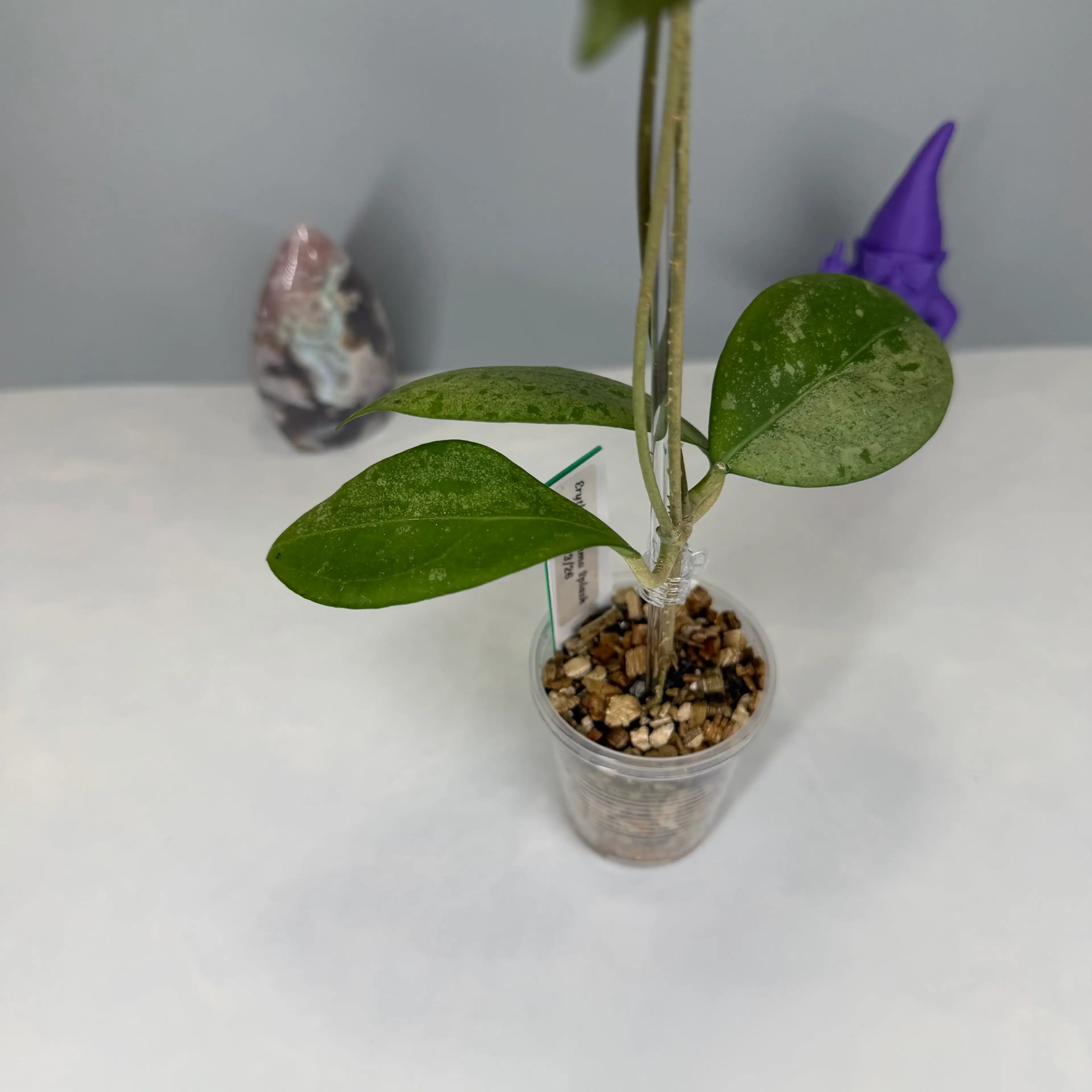 Image 4 of 4