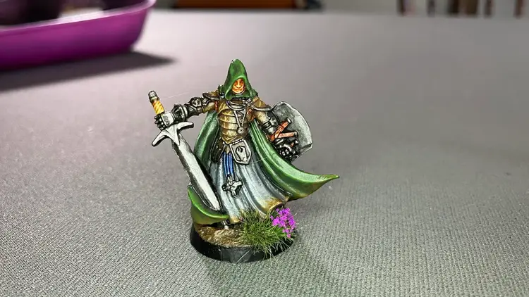 Custom Painted Reaper Mini Sir Conlan  Sku 77200