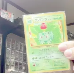 Southern and ivysaur