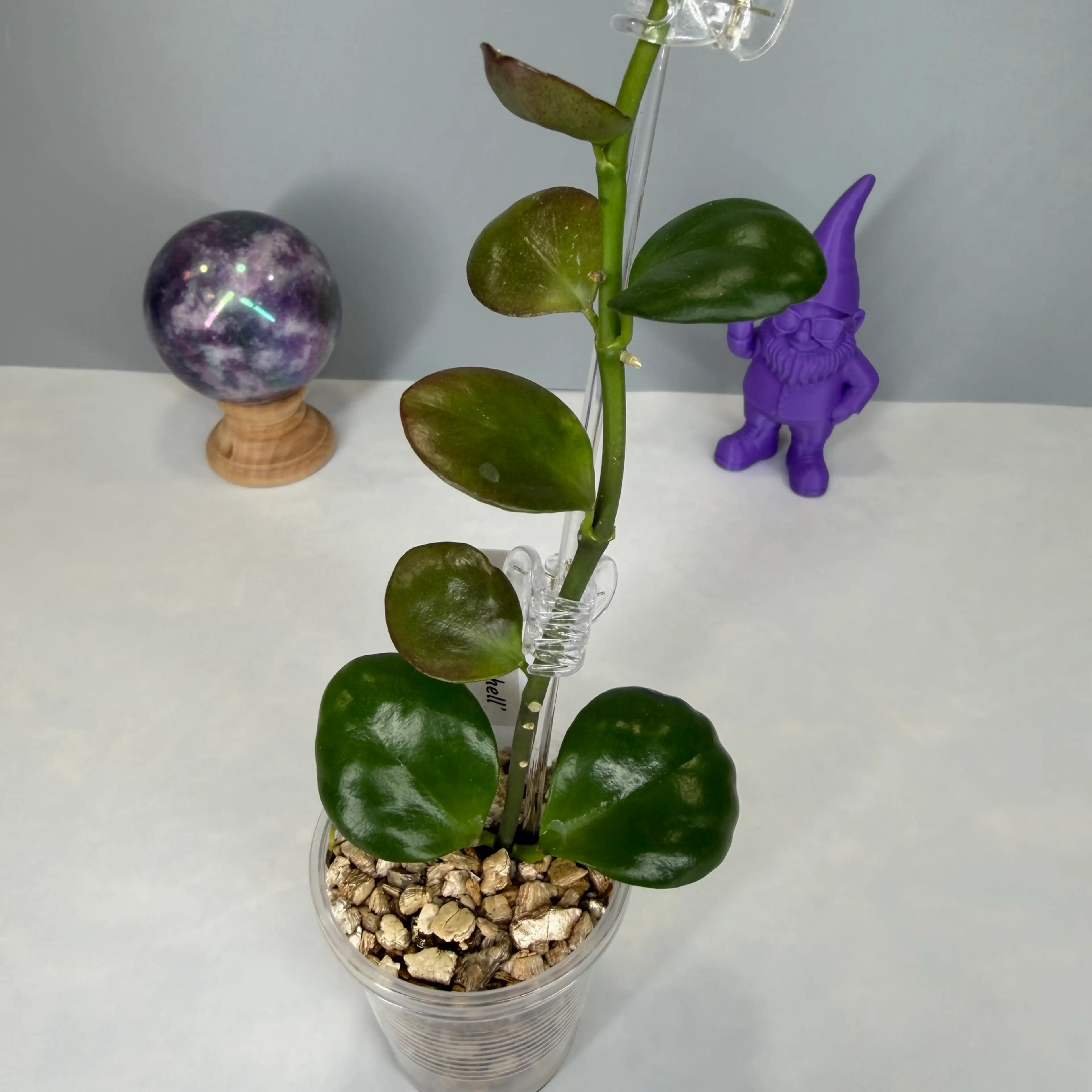 Image 3 of 3