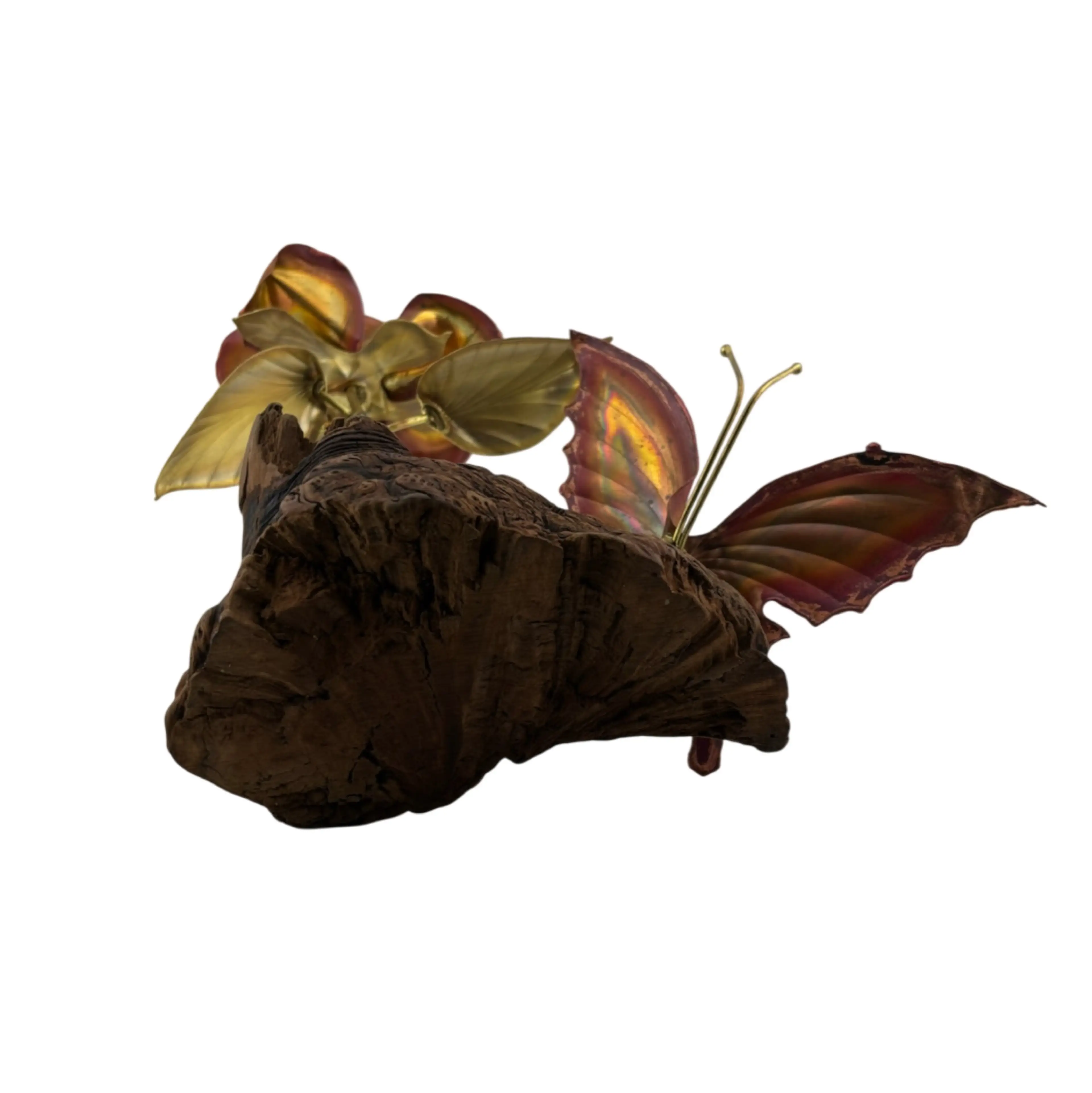 Image 5 of 5