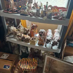 #07 - Tiger Choice Riconnada