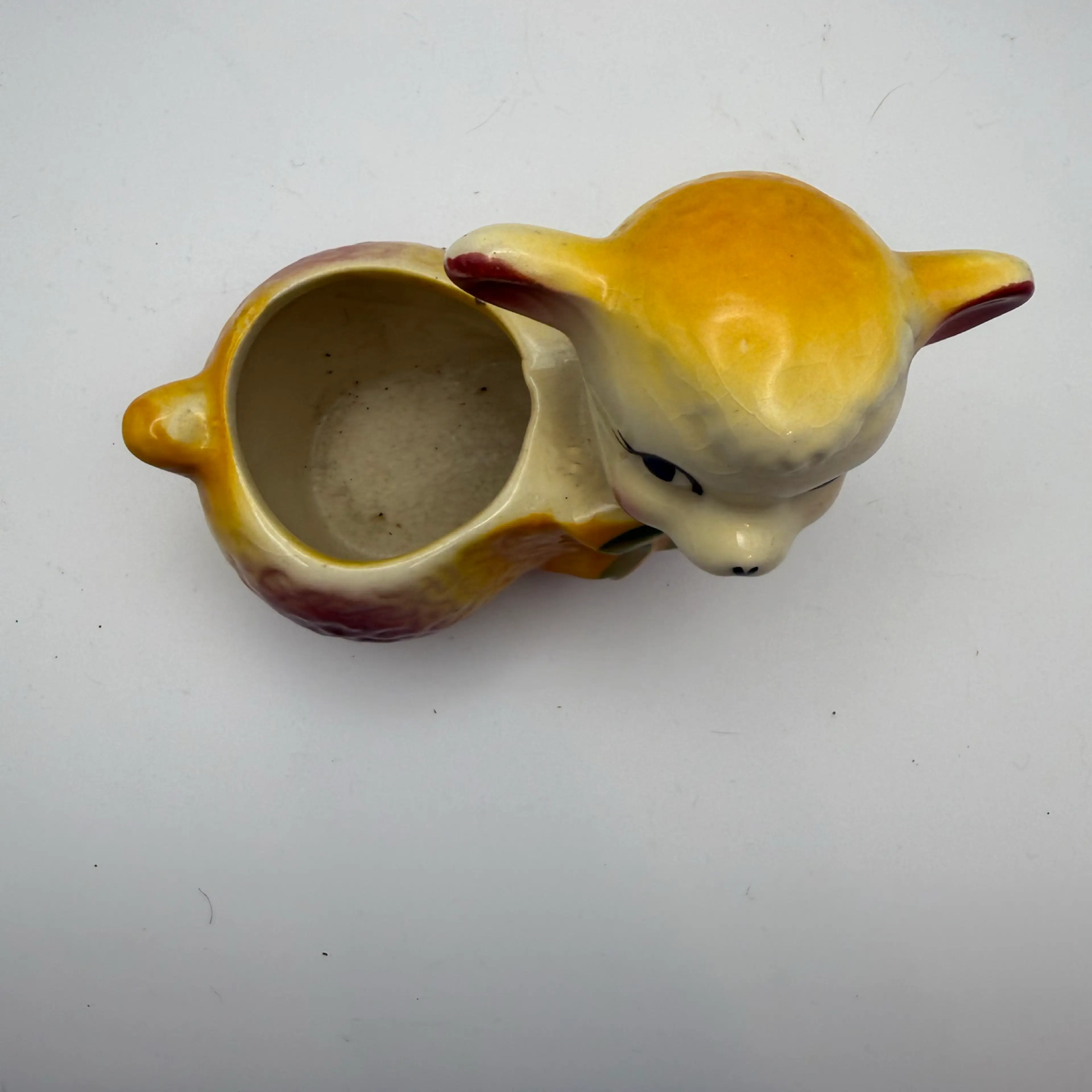 Image 5 of 6