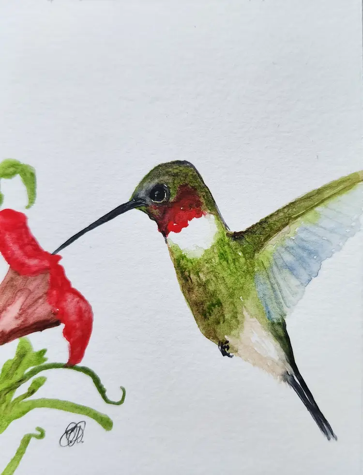 Hummingbird Original Watercolor Painting Signed By The Artist 3x4 Free Shipping