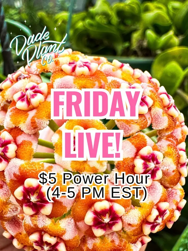 $5 Power Hour! 