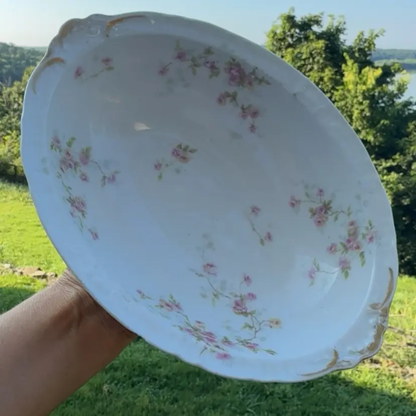 Limoges Haviland Bowl - Read