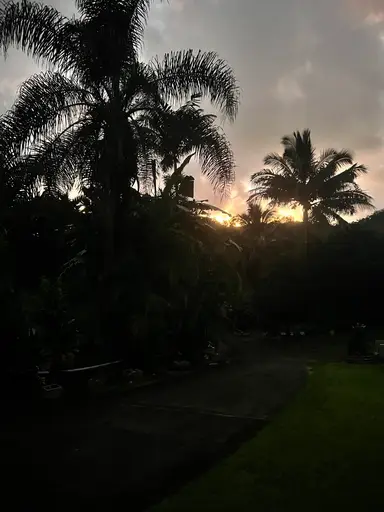 Aloha From The Mountain