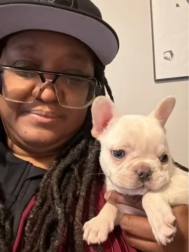 Cards Clothes Toys Randomness 