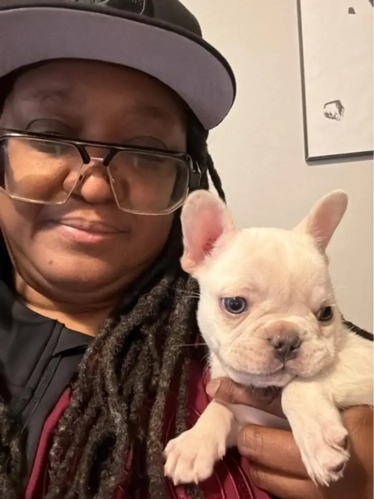 Cards Clothes Toys Randomness 