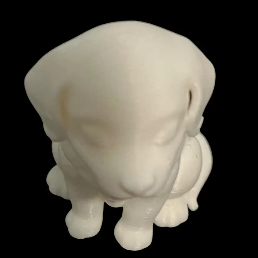 3D Printed Animal As Pictured
