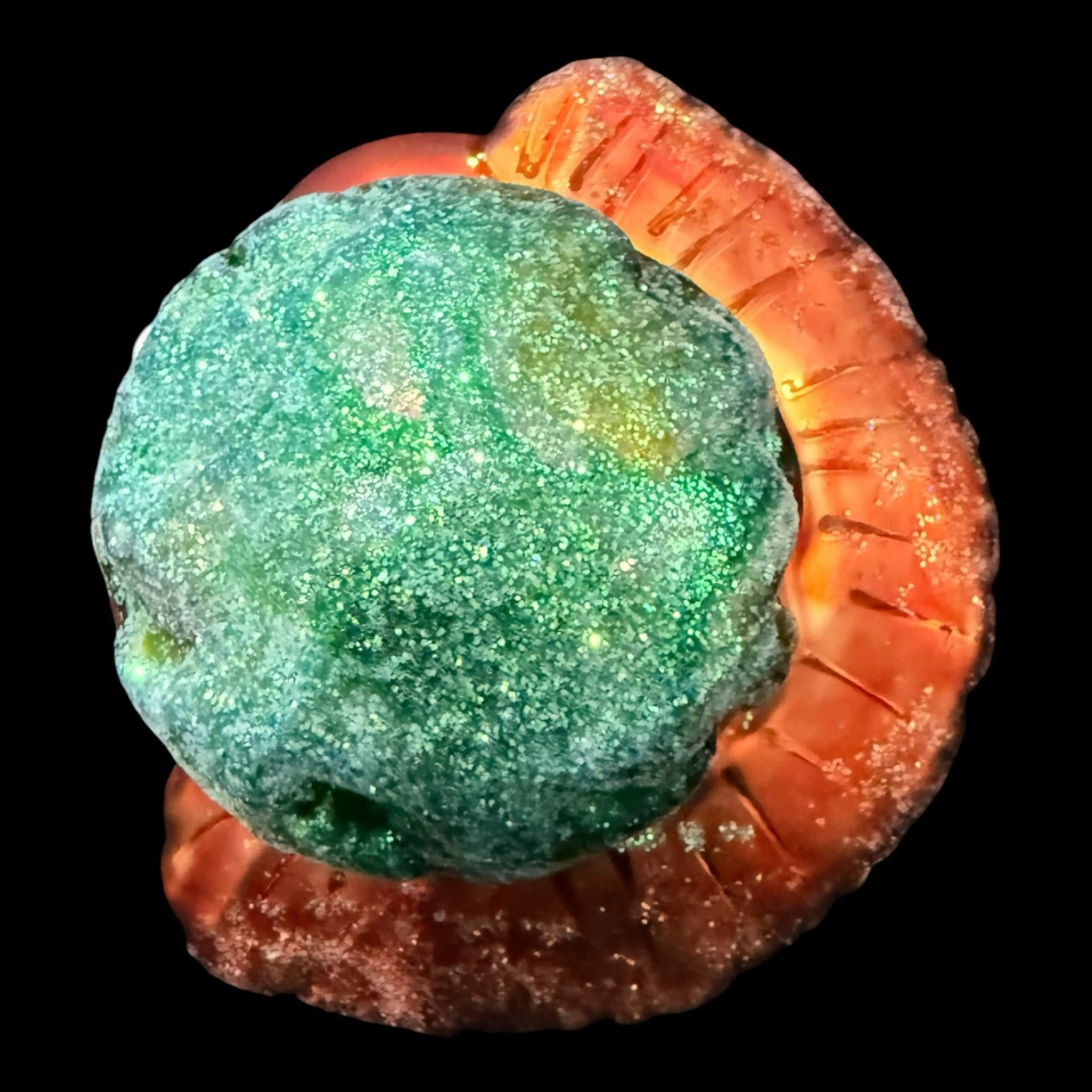 Image 5 of 6