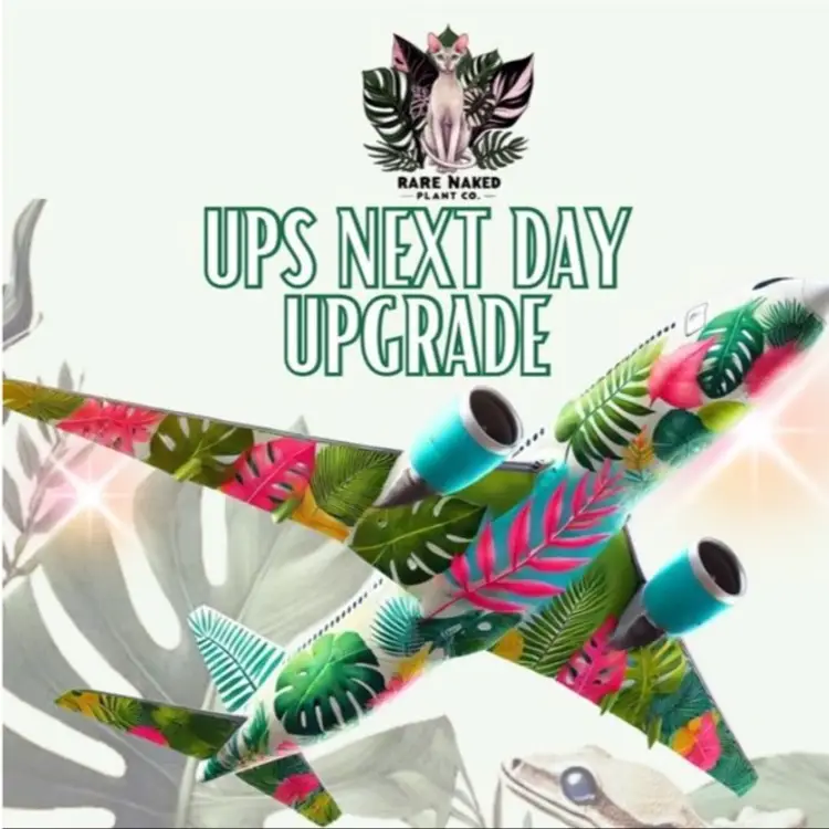 UPS Next Day Air Upgrade