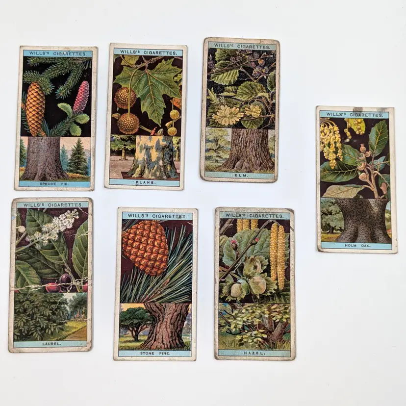 Antique Ephemera British Cigarette Cards Plants of the UK series