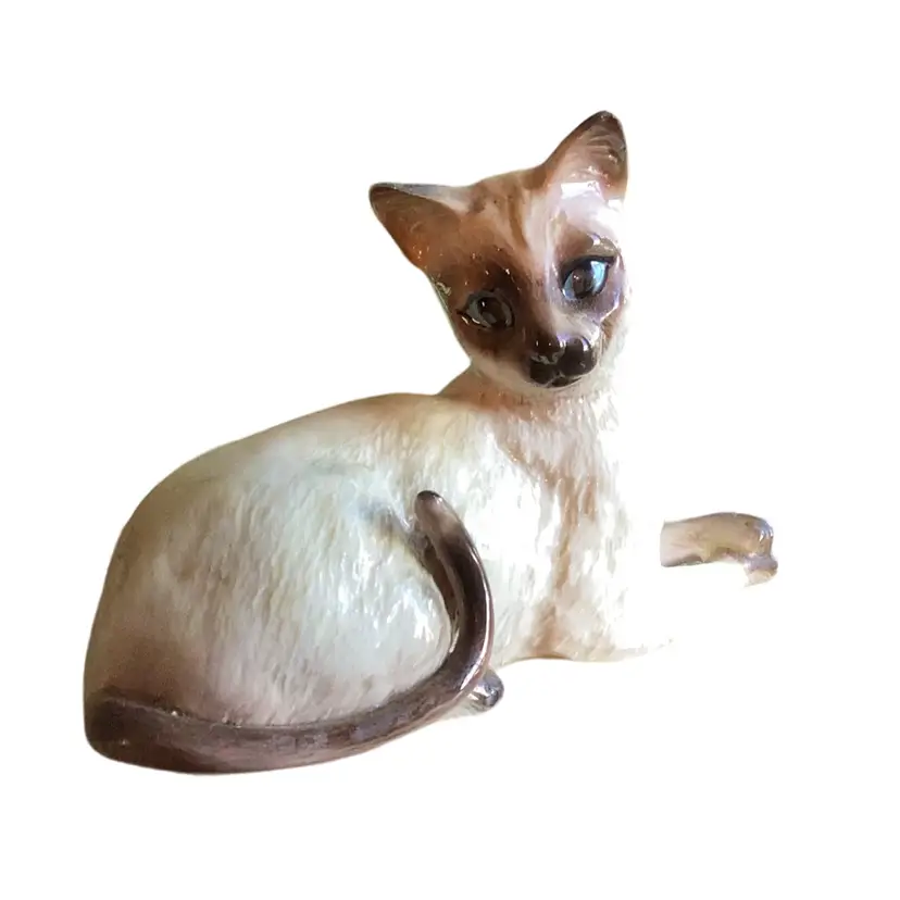 Siamese Princess Blue Eyes Long Tail